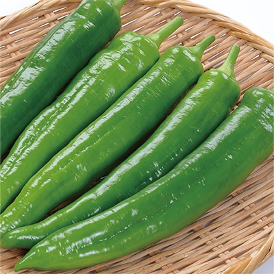 ジャンボトウガラシ 甘とうジャンボ