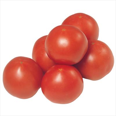 トマト・ミニトマト｜種（タネ）,球根,苗,資材,ガーデニング