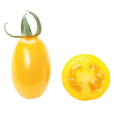 ミニトマト メイクスイーツ パトリシア