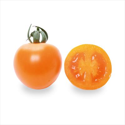 大玉トマト りんか409｜種（タネ）,球根,苗の通販はサカタのタネ 