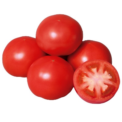 トマト支柱 1800｜種（タネ）,球根,苗の通販はサカタのタネ オンライン 