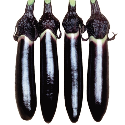 ナス 紫紺仙台長