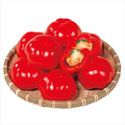 フルーツパプリカ セニョリータ(R)レッド