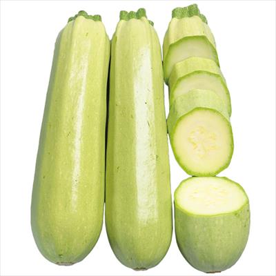 ズッキーニ オリーブヤングマン(R)