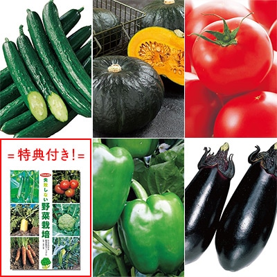 おすすめ果菜の種 5種セット