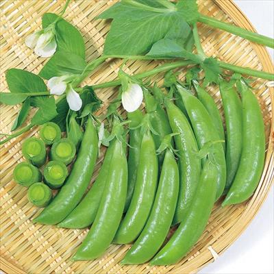 つるありエンドウ スナック753