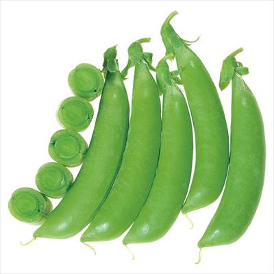 つるなしエンドウ ホルンスナック