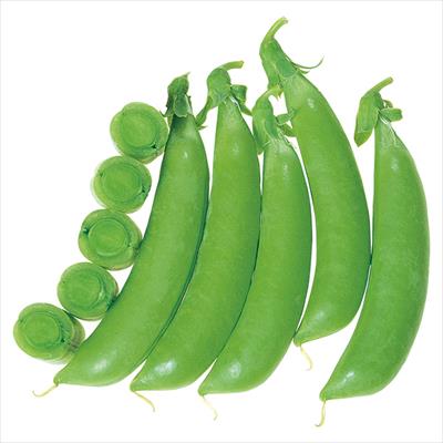 つるなしエンドウ ホルンスナック