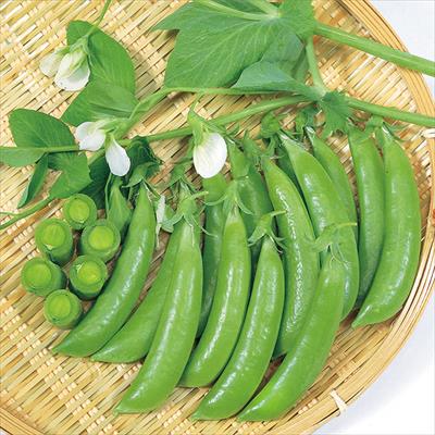 つるありエンドウ スナック753