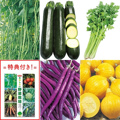 注目の野菜種 5種セット