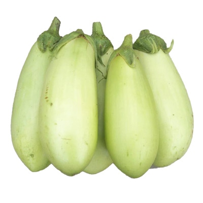 有機種子 ナス 翡翠ナス