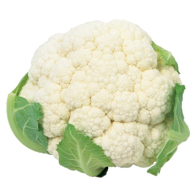 カリフラワー オーナメントホワイト