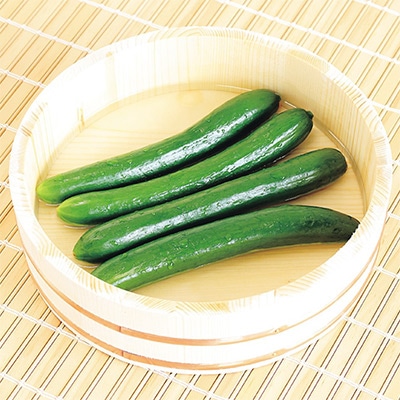 おうち野菜（R） キュウリ ずーっとフリーダム 自根苗