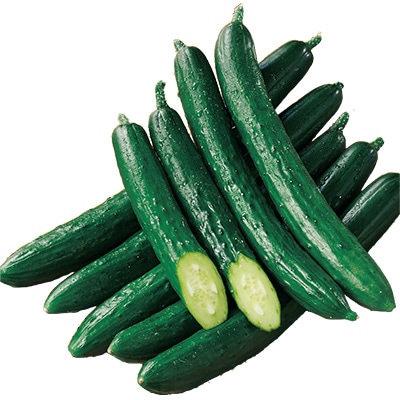 キュウリ ずーっととれるキュウリ 4月中～下旬発送予定 接木苗24ポット1組