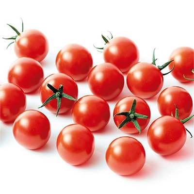 セル苗 ミニトマト キャロルポポ 接木苗