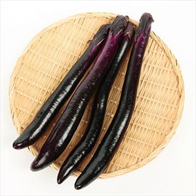 おうち野菜（R） 長ナス 夏豊作(R) 自根苗