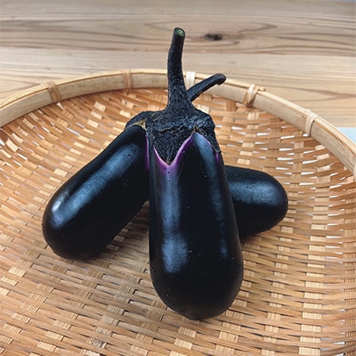 ナス 楽々水なす 自根苗