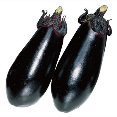 ナス 黒福 接木苗