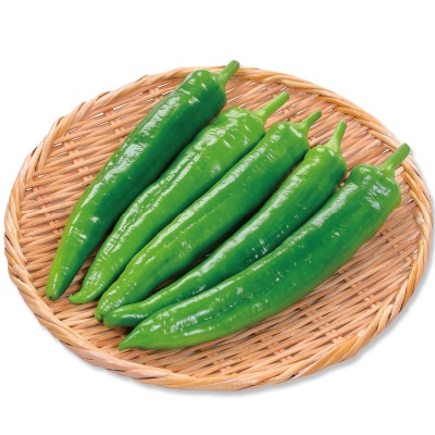 おうち野菜（R） トウガラシ 満作 自根苗