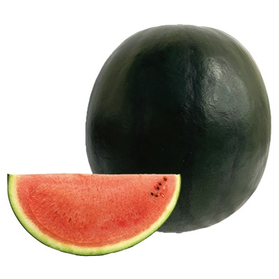 種 タネ 球根 苗の通販はサカタのタネ オンラインショップ