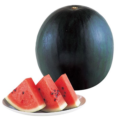 大玉スイカ タヒチ 接木苗