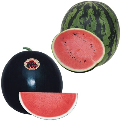 おいしい大玉スイカ 2種セット 接木苗