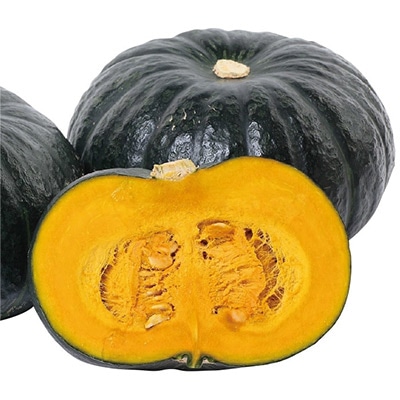 栗カボチャ ブラックのジョー (R)   自根苗