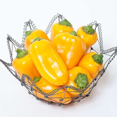 おうち野菜（R） ミニパプリカ ぱぷりーな（R）イエロー 自根苗