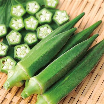 おうち野菜（R） オクラ 満天(R) 自根苗