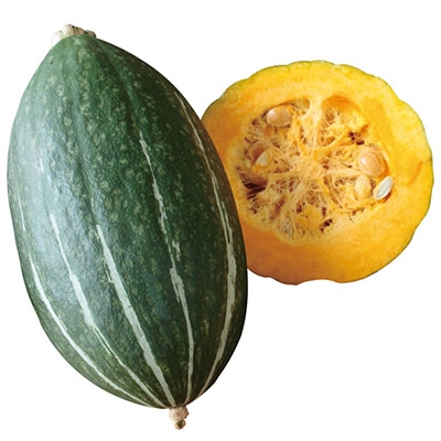 おうち野菜（R） カボチャ スイートタックル（R） 自根苗