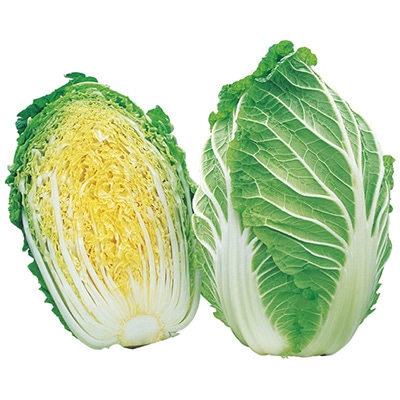 ジフィーセブンC苗 ハクサイ ちよぶき70