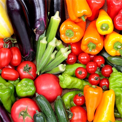 春の野菜苗 お楽しみセット