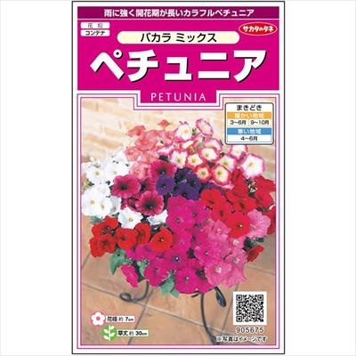 ペチュニア バカラ ミックス 種 タネ 球根 苗の通販はサカタのタネ オンラインショップ