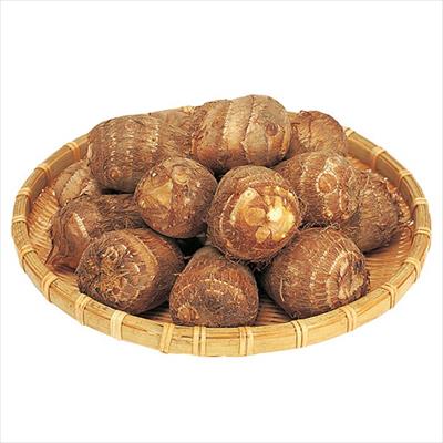 愛知早生サトイモ