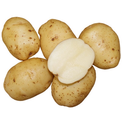 ジャガイモ ワセシロ タネイモ