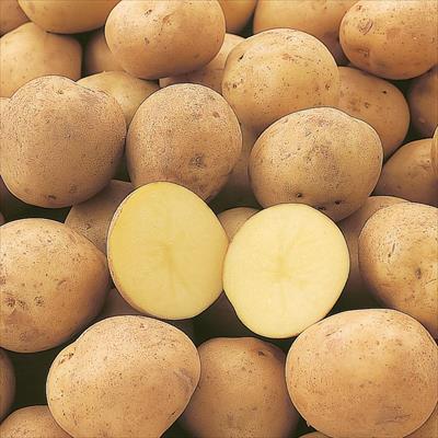 ジャガイモ デジマ