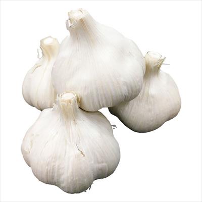 ニンニク くまモンニンニク