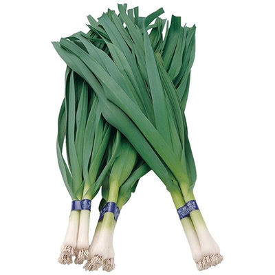 葉ニンニク ハーリック