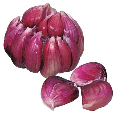 ニンニク 大島赤丸にんにく