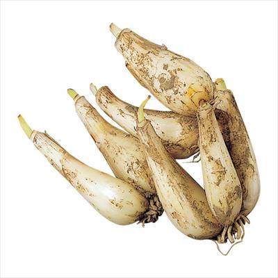 ラッキョウ らくだ