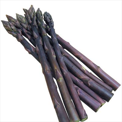 アスパラガス 紫アスパラガス