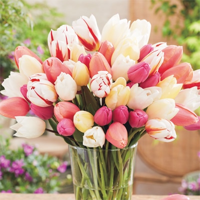 チューリップ ストロベリーミルク