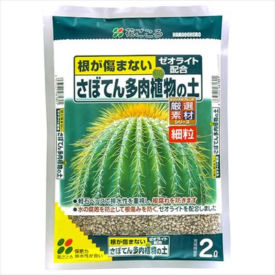 さぼてん多肉植物の土 種 タネ 球根 苗の通販はサカタのタネ オンラインショップ