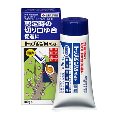 トップジン(R)Ｍペースト