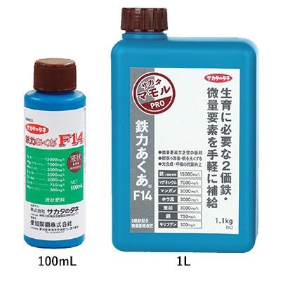 鉄力あくあ（R） F14｜種（タネ）,球根,苗,資材,ガーデニンググッズの通販はサカタのタネ オンラインショップ