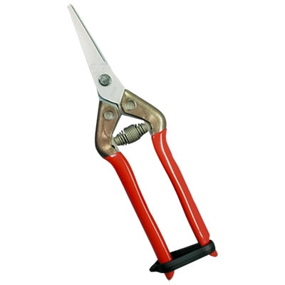 ステンレス抗菌鋏