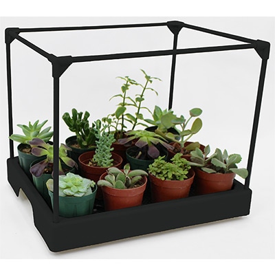 多肉マンション