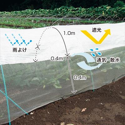 モヒカンネット（R）｜種（タネ）,球根,苗,資材,ガーデニンググッズの通販はサカタのタネ オンラインショップ