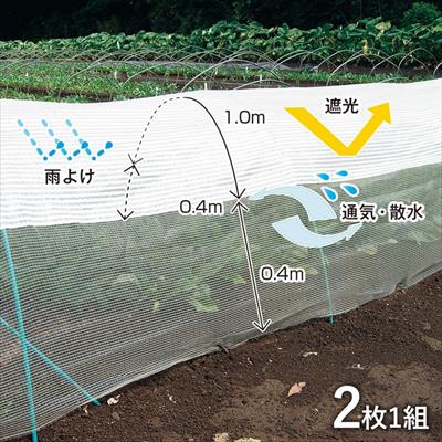 モヒカンネット（R）
