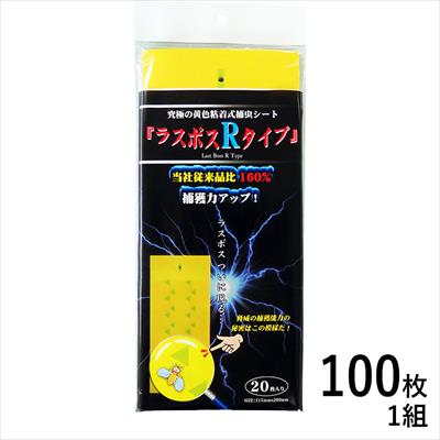 ラスボスRタイプ